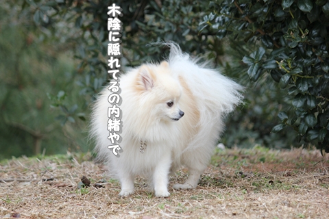 20130222-IMG_8075.jpg