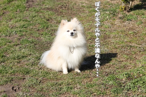 20130222-IMG_8127.jpg