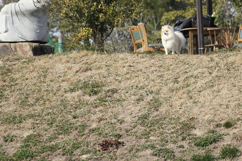 20130228-IMG_8173.jpg