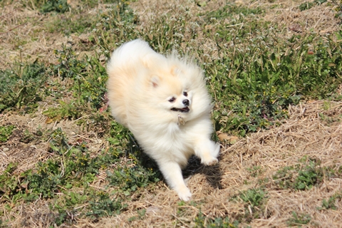 20130228-IMG_8175.jpg