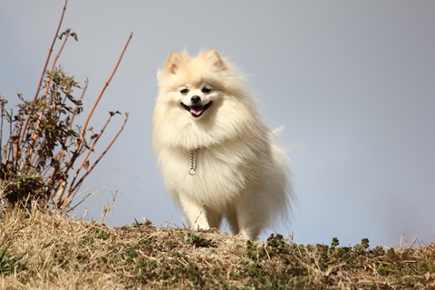 20130228-IMG_8176.jpg