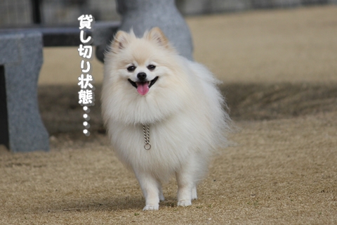 20130302-IMG_8260.jpg