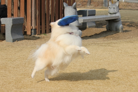 20130302-IMG_8315.jpg
