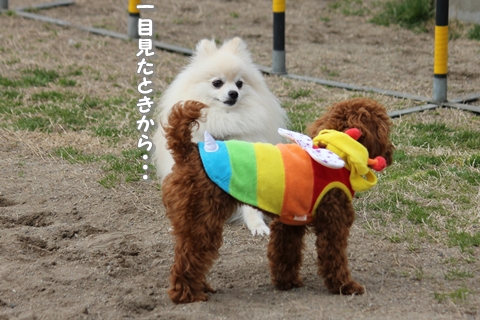 20130305-IMG_8692.jpg