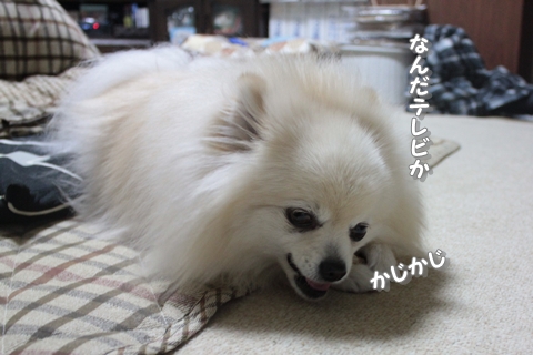 20130309-IMG_8938.jpg