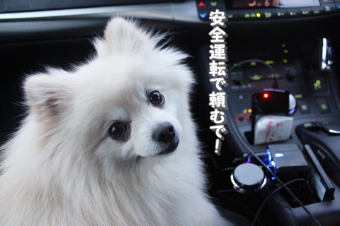 20130312-IMG_8971.jpg