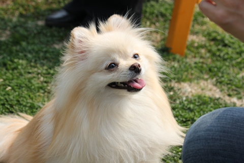 20130315-IMG_9211.jpg