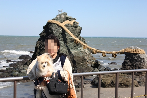 20130316-IMG_9310.jpg