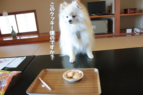 20130317-IMG_9426.jpg