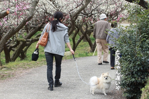 20130319-IMG_9539.jpg