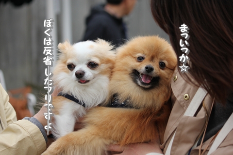 20130322-IMG_9744.jpg