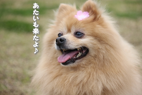20130325-IMG_0004.jpg