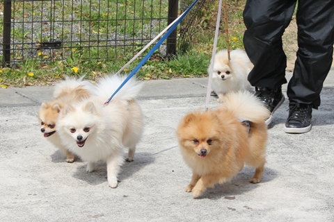 20130325-IMG_0052.jpg