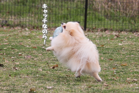 20130325-IMG_0216.jpg