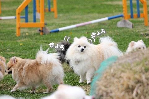20130327-IMG_9971.jpg