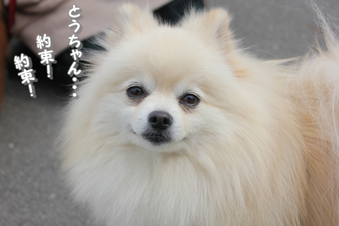 20130401-IMG_0234.jpg