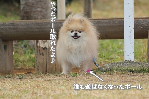 20130402-IMG_0298.jpg