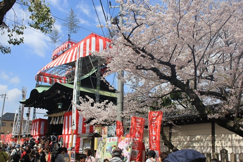 20130408-IMG_0586.jpg
