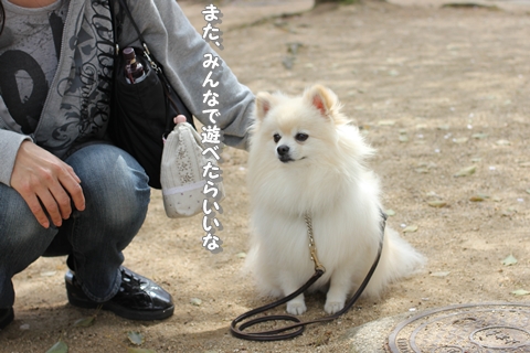 20130409-IMG_0680.jpg