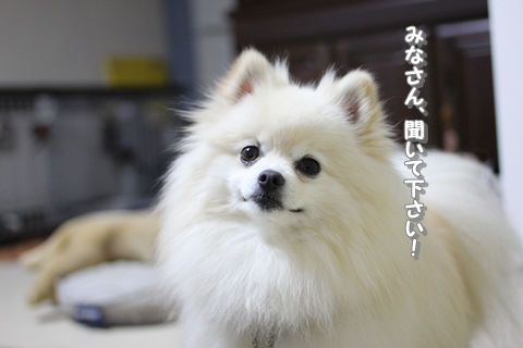 20130412-IMG_0931.jpg
