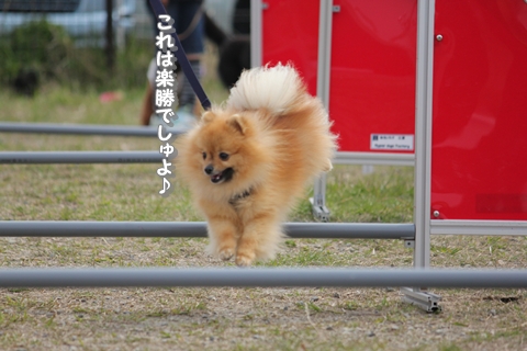20130415-IMG_1104.jpg