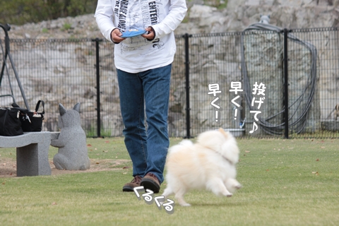 20130418-IMG_7039.jpg