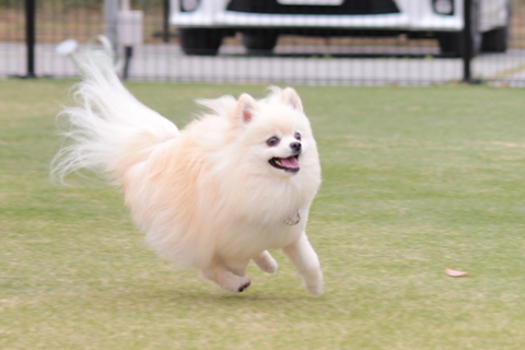 20130421-IMG_7101.jpg
