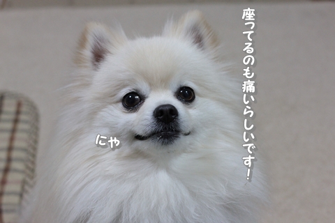 20130422-IMG_7178.jpg