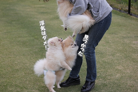 20130425-IMG_7290.jpg