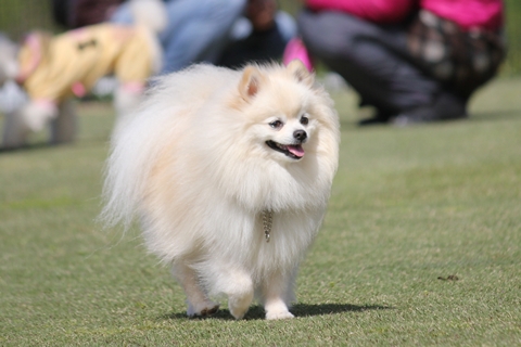 20130425-IMG_7313.jpg