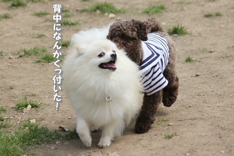 20130512-IMG_7892.jpg