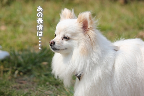 20130512-IMG_7973.jpg