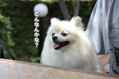 20130515-IMG_8687.jpg
