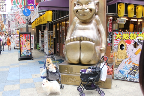 20130519-IMG_8835.jpg
