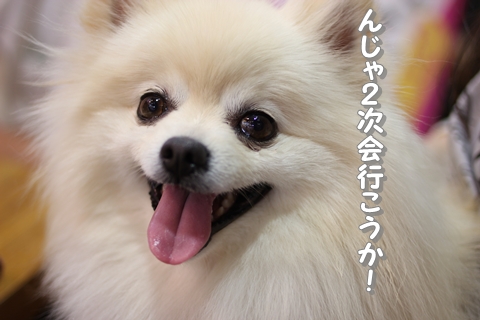 20130523-IMG_8886.jpg