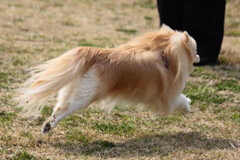 IMG_191115.jpg