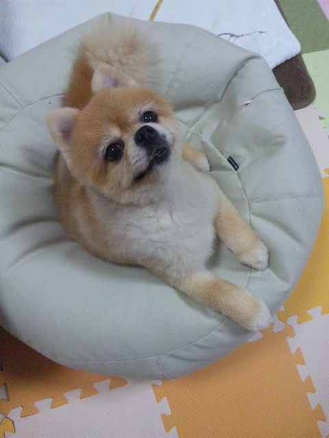 moblog_119b9766.jpg