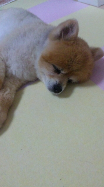 moblog_4a207dea.jpg