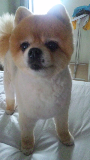 moblog_6d3d894a.jpg