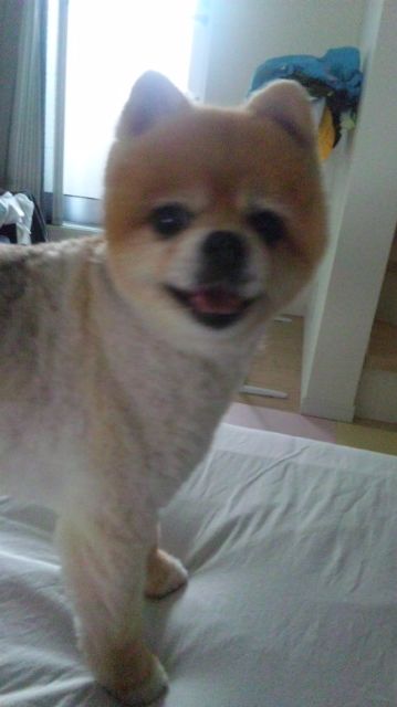 moblog_953727ea.jpg