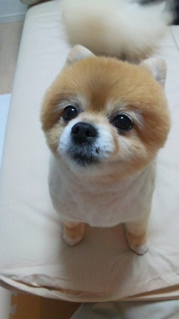 moblog_b7a12b04.jpg