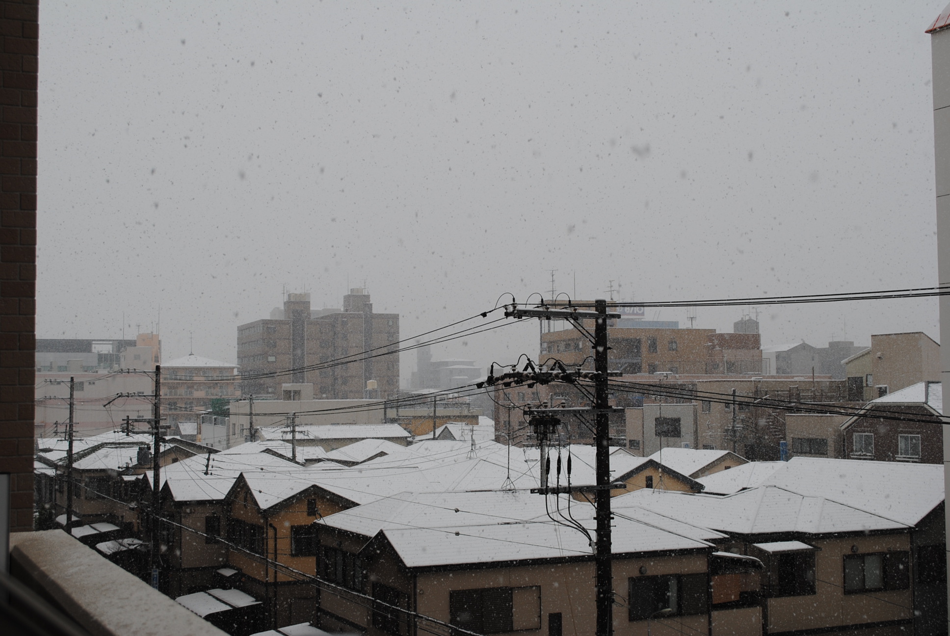201402142.jpg