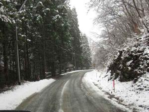 IMG_0709 s