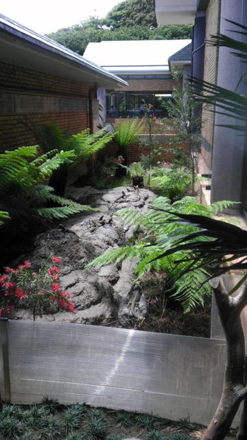 IMAG8890.jpg