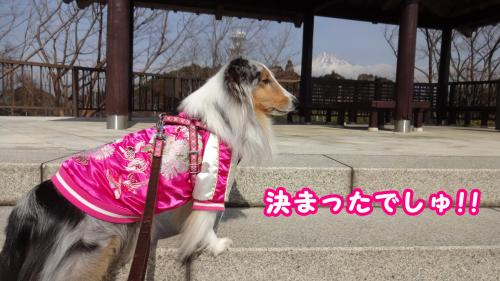 108_convert_20140207151104.jpg