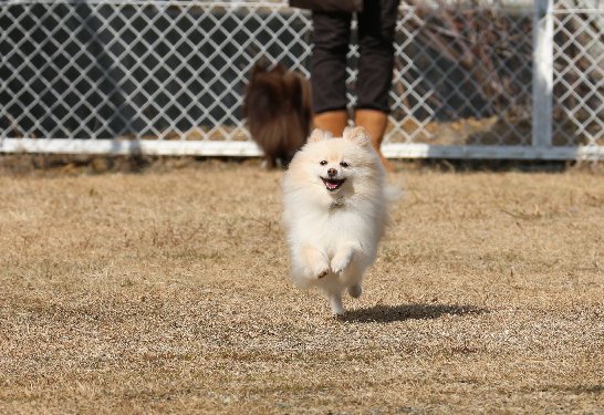 20140113tobazoom2.jpg