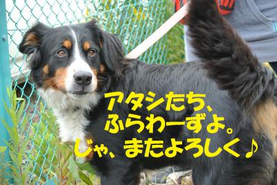 010_convert_20130214154718.jpg