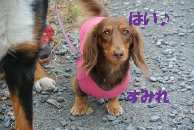 012_convert_20130214154809.jpg