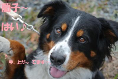 017_convert_20130214155153.jpg
