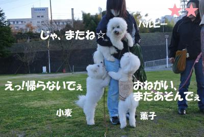 188_convert_20130330121100.jpg